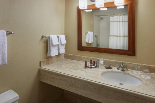 Toronto Airport Marriott Hotel image 29